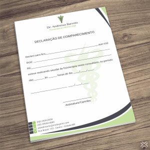 Declaração de Comparecimento Fisioterapeuta 0962