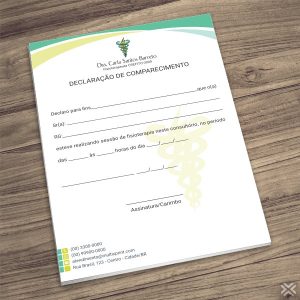 Declaração de Comparecimento Fisioterapeuta 0968