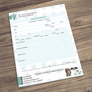 Encaminhamento Veterinário 3041