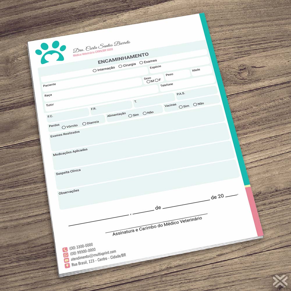 Encaminhamento Veterinário 3093