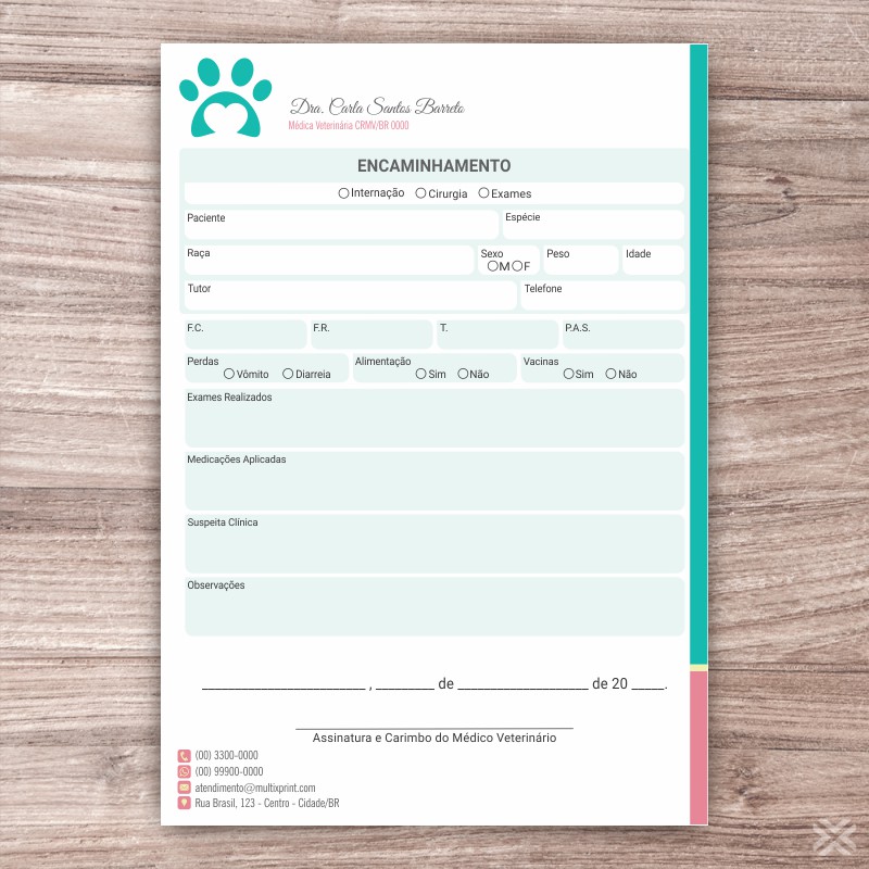 Encaminhamento Veterinário 3093 - Imagem 2