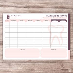 Planner Dentista 0608