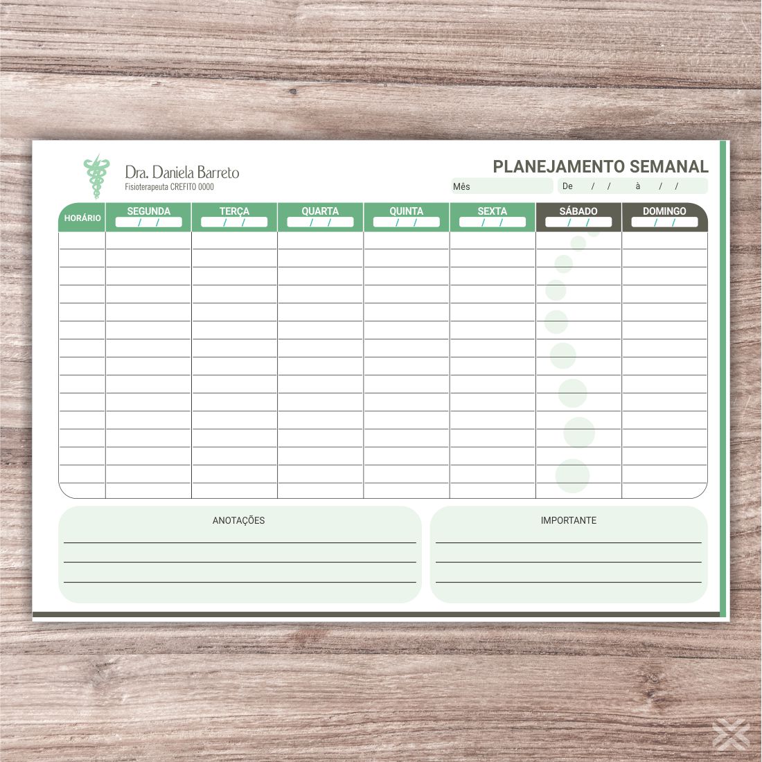 Planner Fisioterapeuta 0936