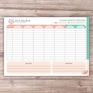 Planner Nutricionista 2413