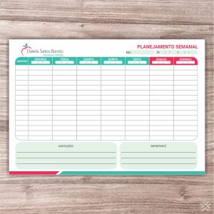 Planner Nutricionista 2427