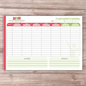 Planner Nutricionista 2439