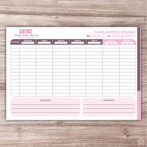 Planner Nutricionista 2443