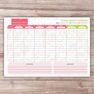 Planner Nutricionista 2446