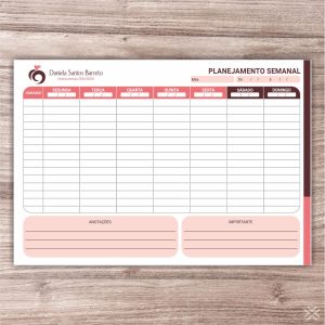 Planner Nutricionista 2448