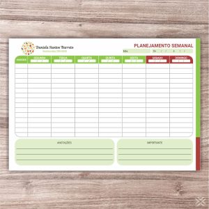 Planner Nutricionista 2454
