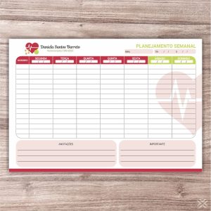 Planner Nutricionista 2456