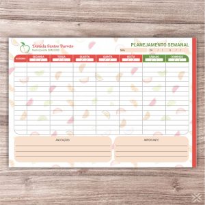 Planner Nutricionista 2457