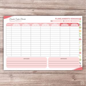 Planner Nutricionista 2485