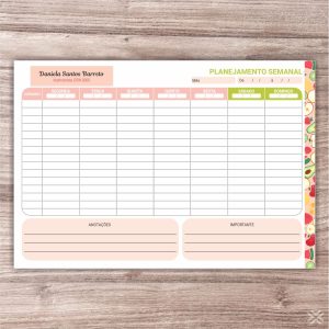 Planner Nutricionista 2495