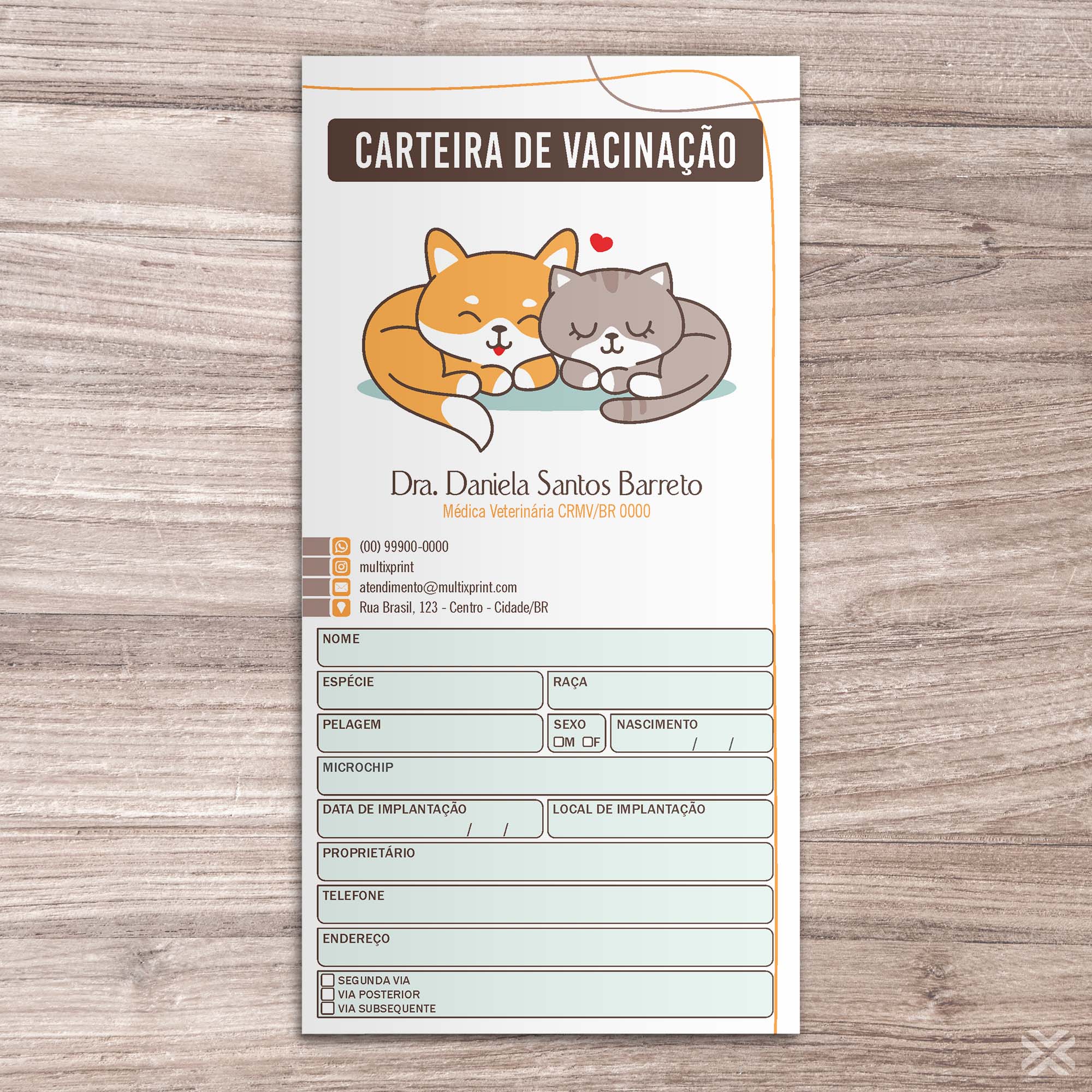 Carteira Vacinação 30x20cm 6 Páginas 30131 - Imagem 2
