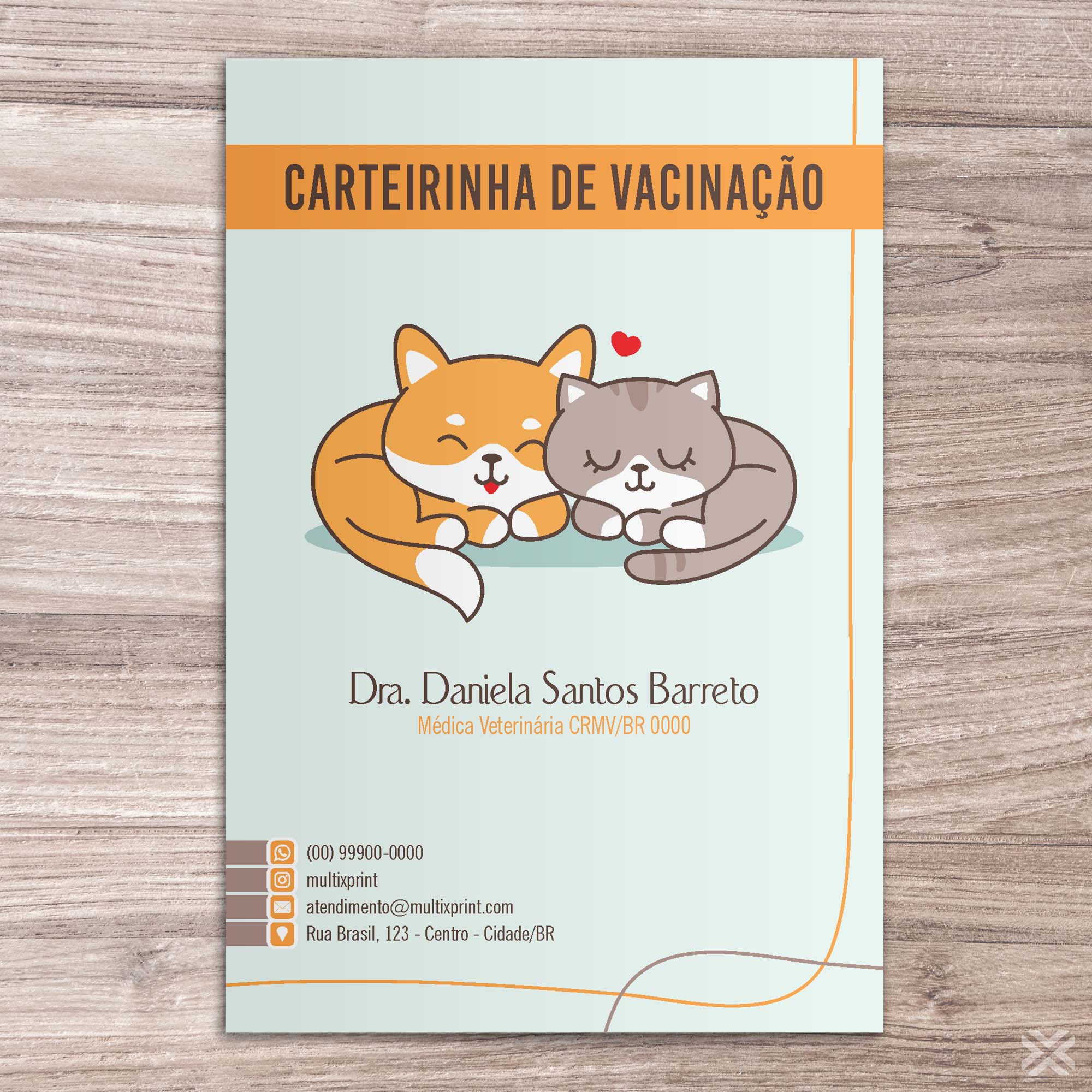 Carteira Vacinação 30x15cm 6 Páginas 30131 - Imagem 2