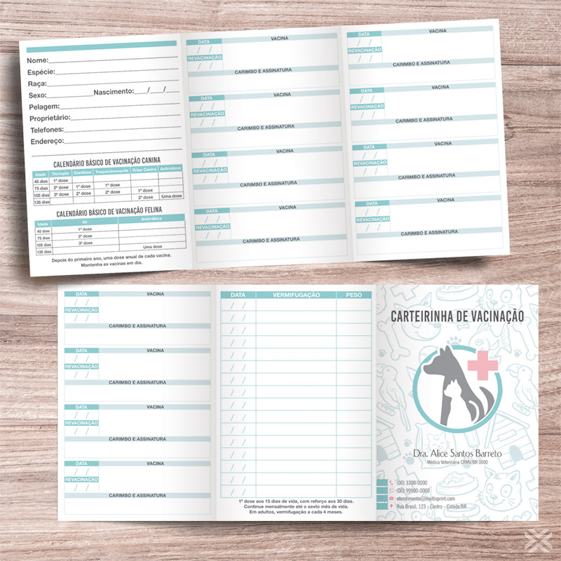 Carteira Vacinação 30x15cm 6 Páginas 3018