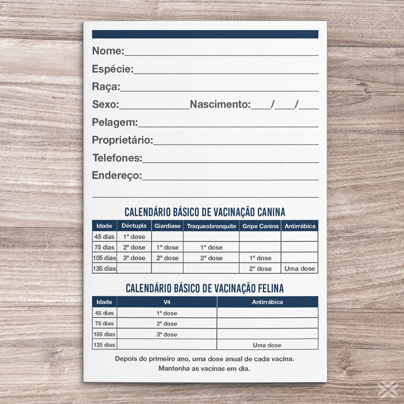 Carteira Vacinação 30x15cm 6 Páginas 3097 - Imagem 3
