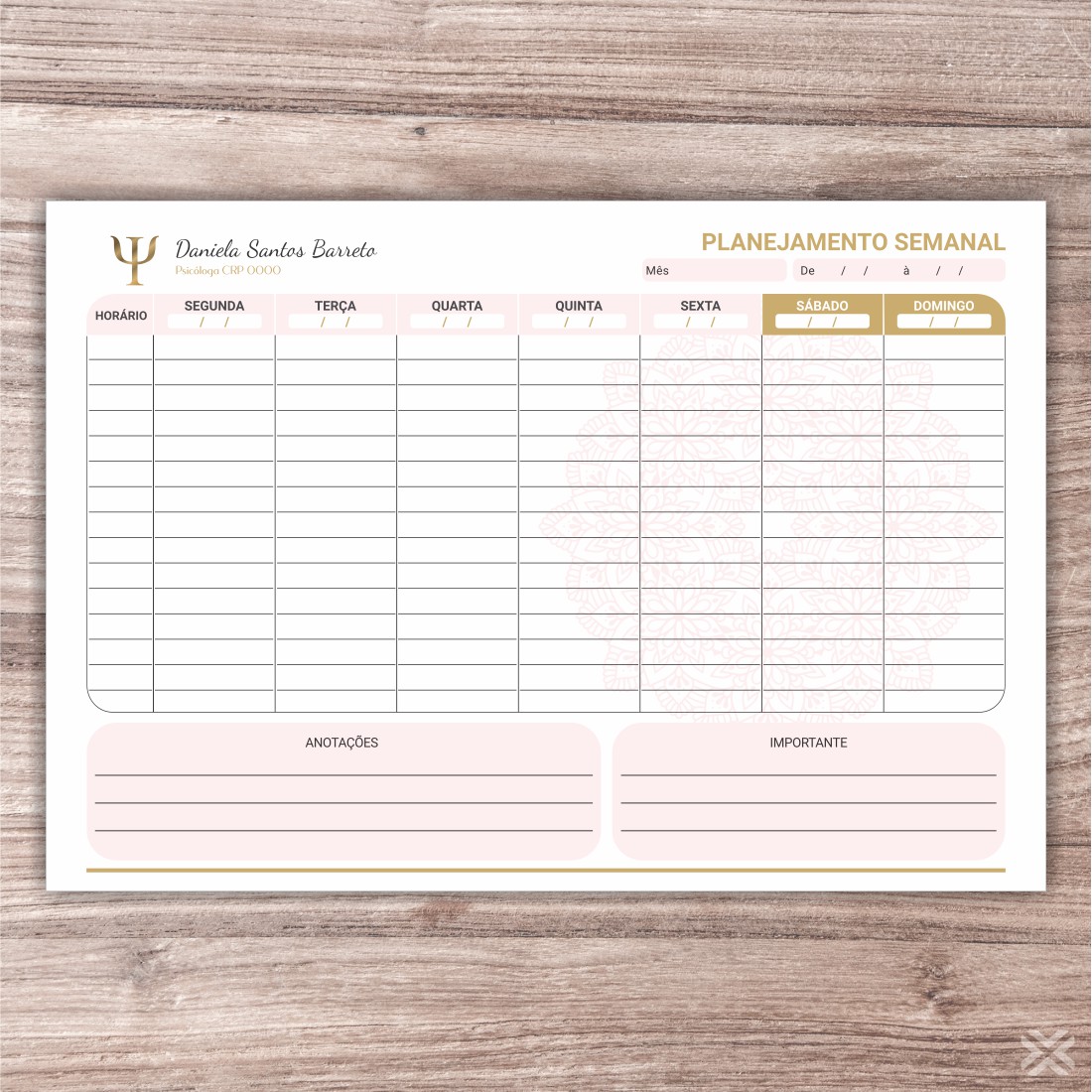 Planner Psicólogo 2703