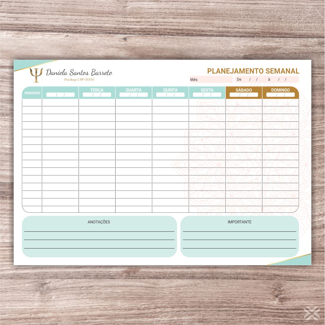 Planner Psicólogo 27101