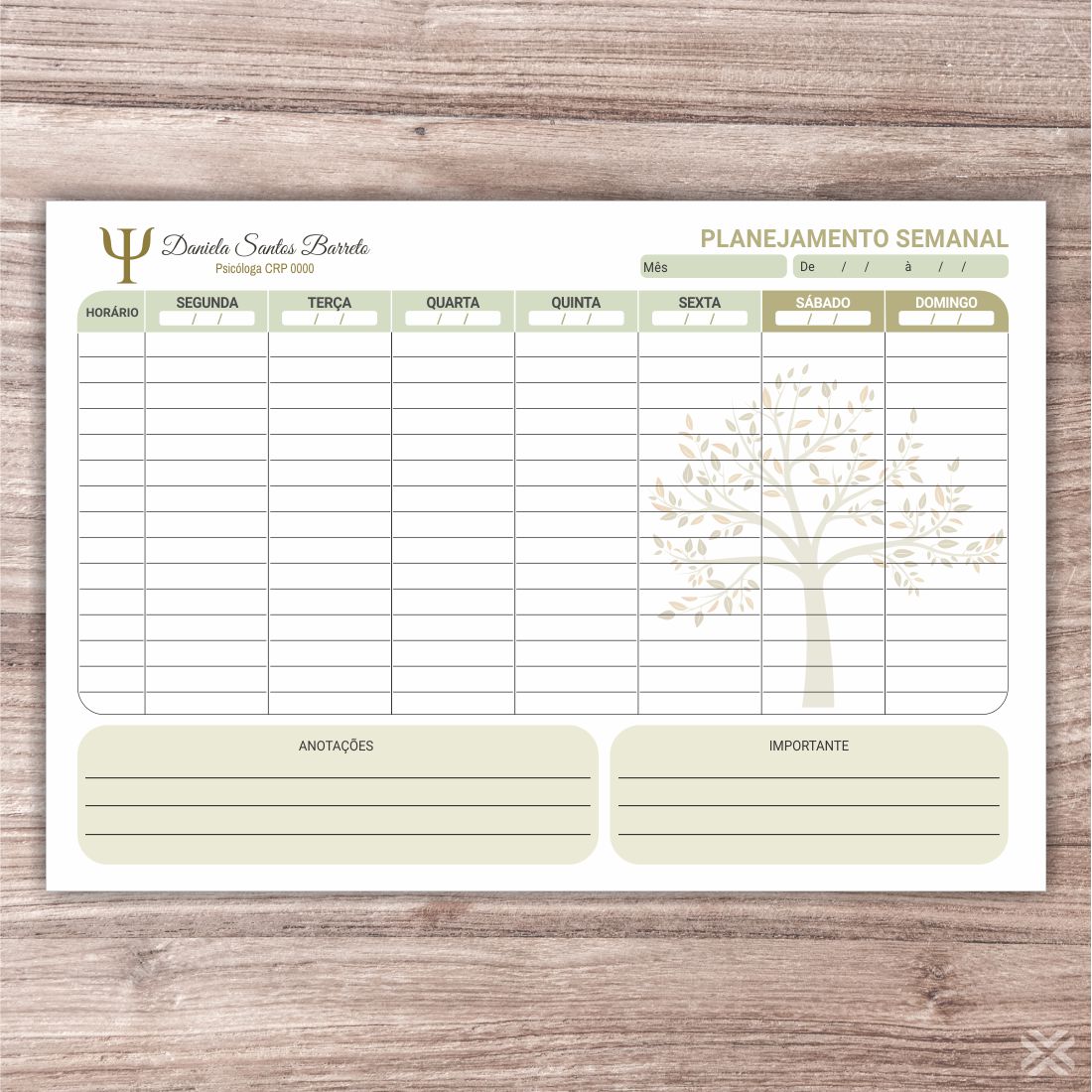 Planner Psicólogo 2793