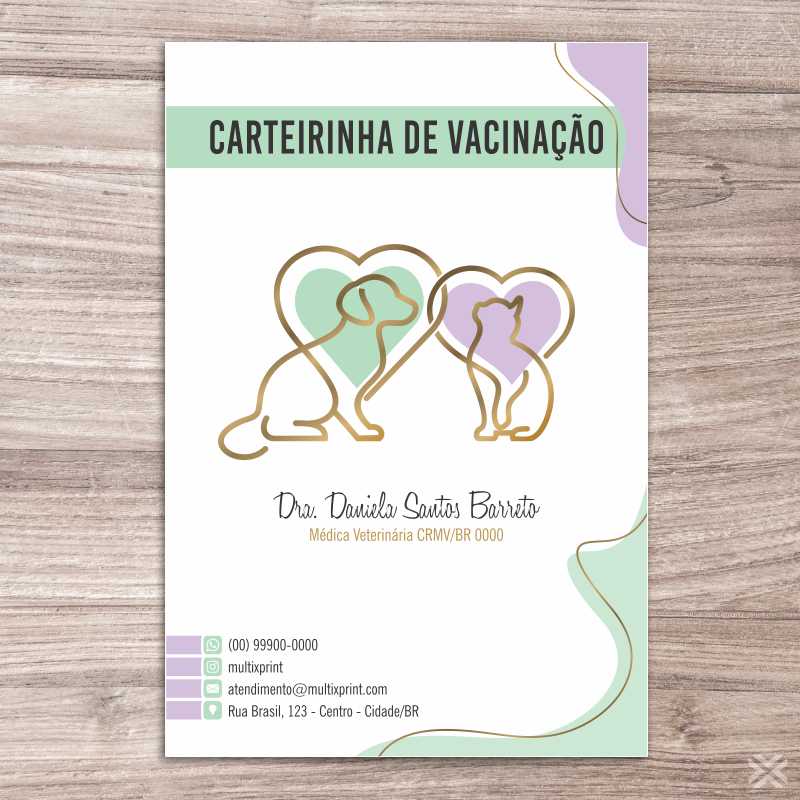 Carteira Vacinação 30x15cm 6 Páginas 30138 - Imagem 2