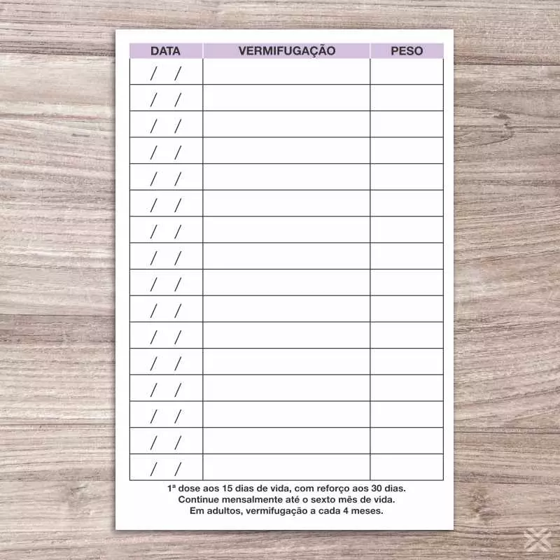 Carteira Vacinação 30x15cm 6 Páginas 30138 - Imagem 5