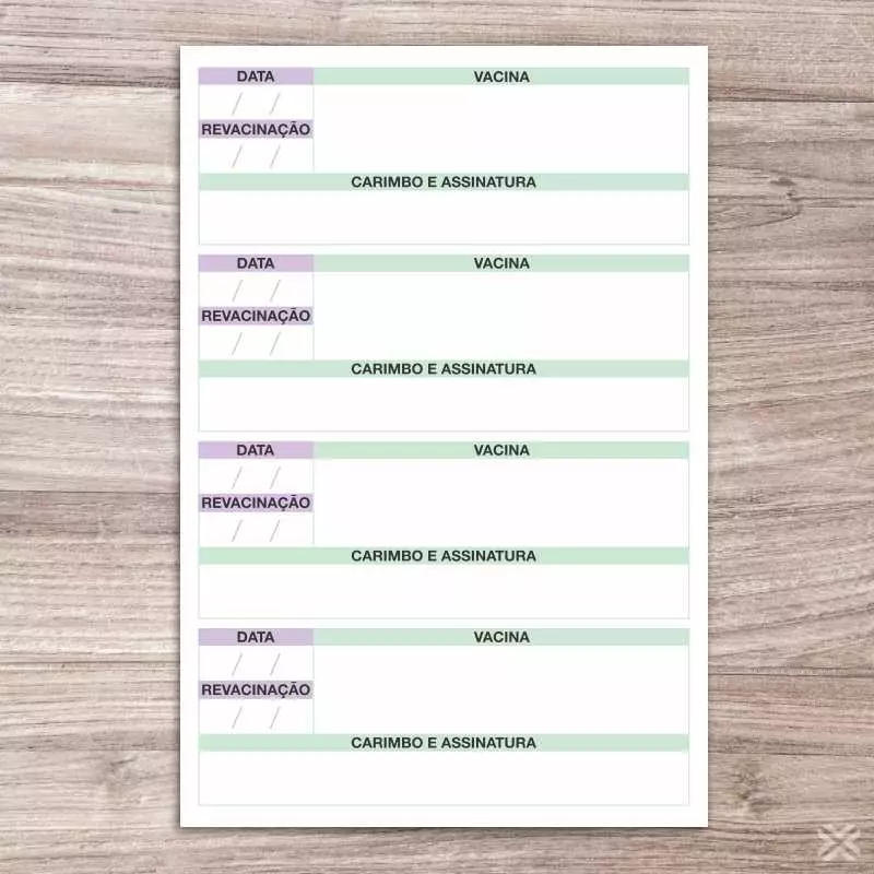 Carteira Vacinação 30x15cm 6 Páginas 30138 - Imagem 4