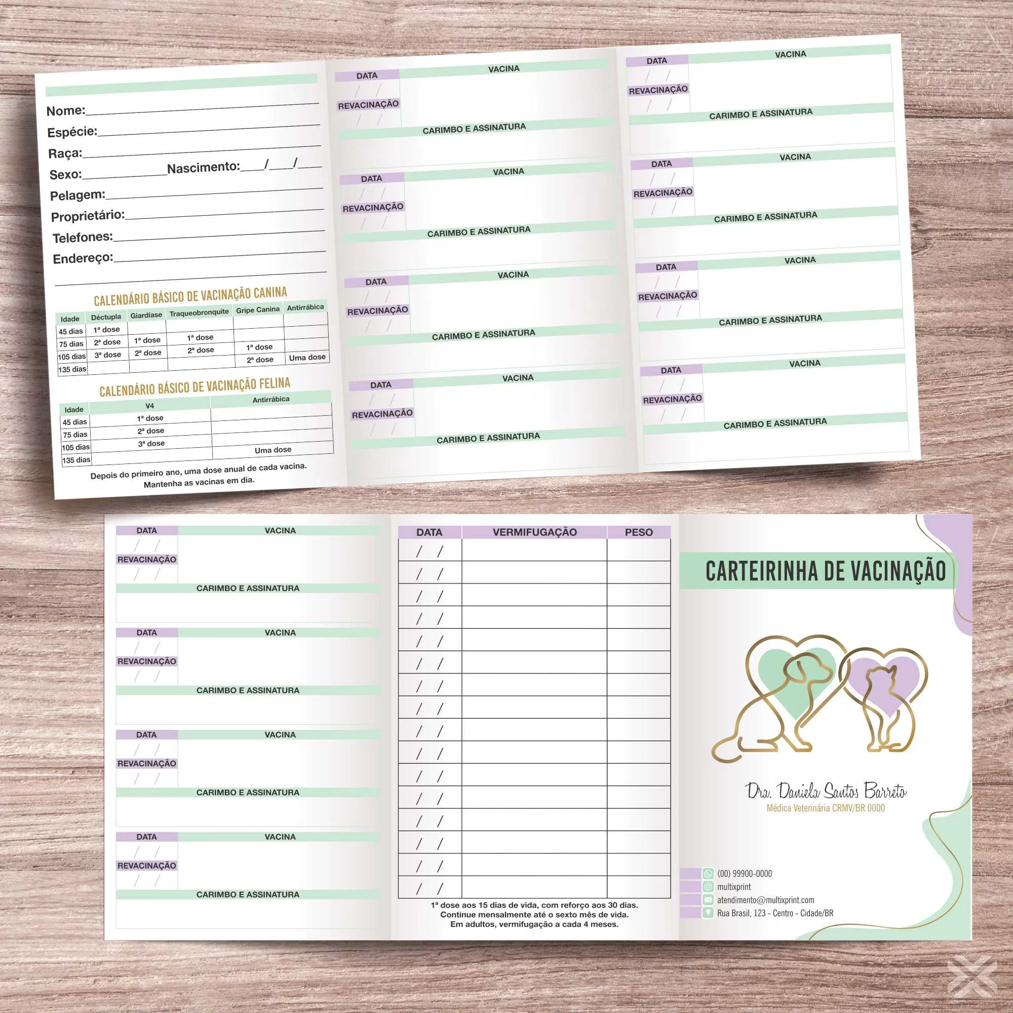Carteira Vacinação 30x15cm 6 Páginas 30138
