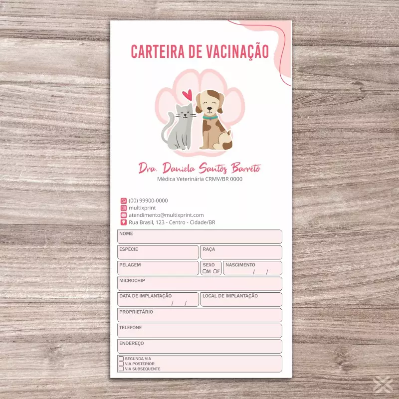 Carteira Vacinação 30x20cm 6 Páginas 30141 - Imagem 2