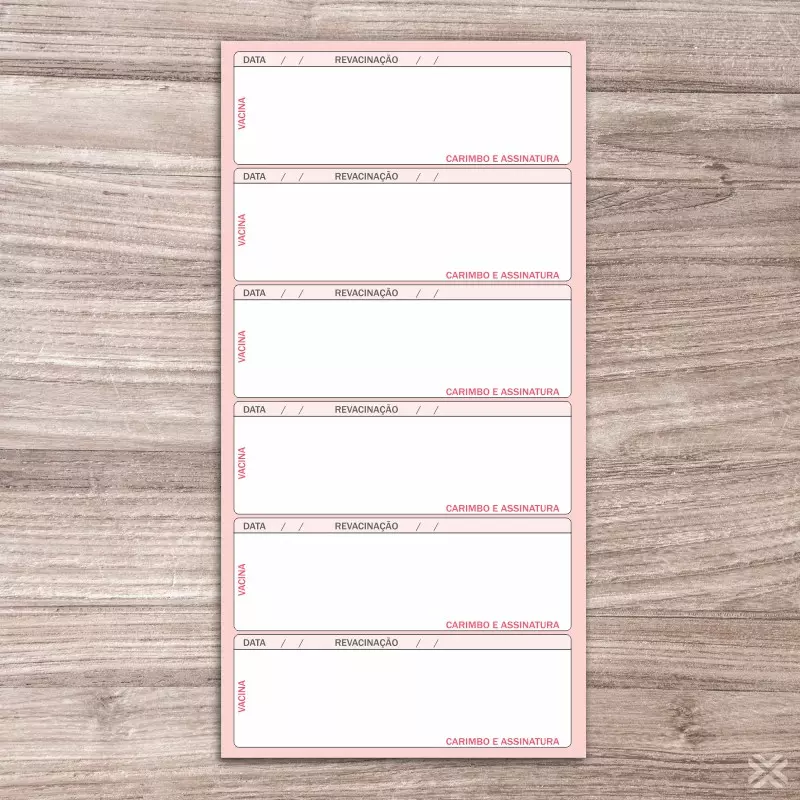 Carteira Vacinação 30x20cm 6 Páginas 30141 - Imagem 3