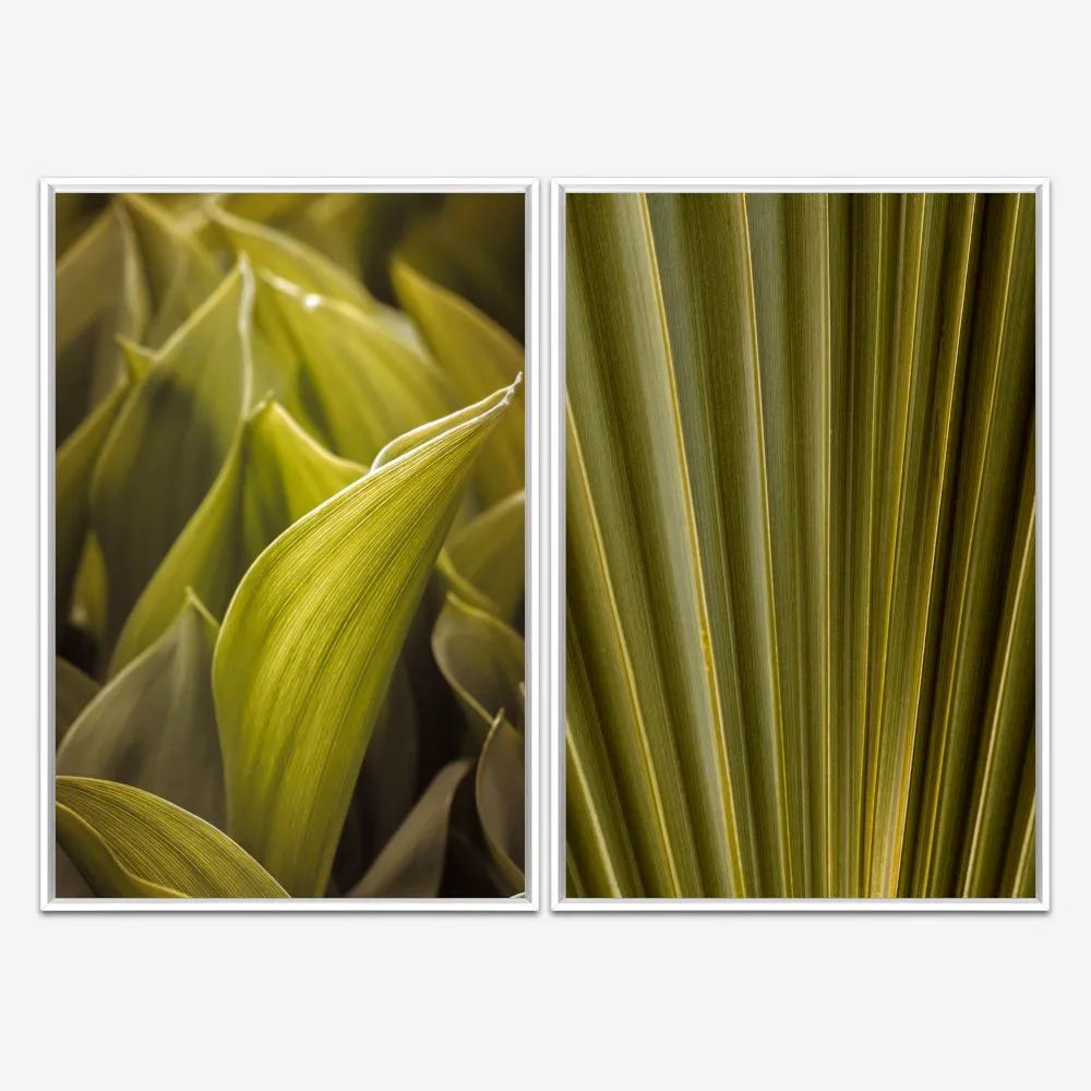 Quadro Natureza Folhas Verdes kit duas telas - Imagem 4