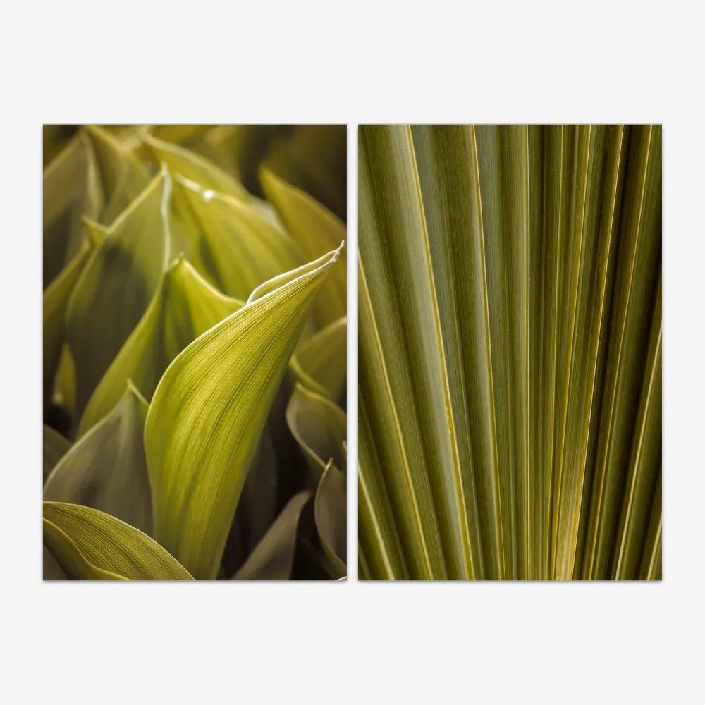 Quadro Natureza Folhas Verdes kit duas telas - Imagem 2