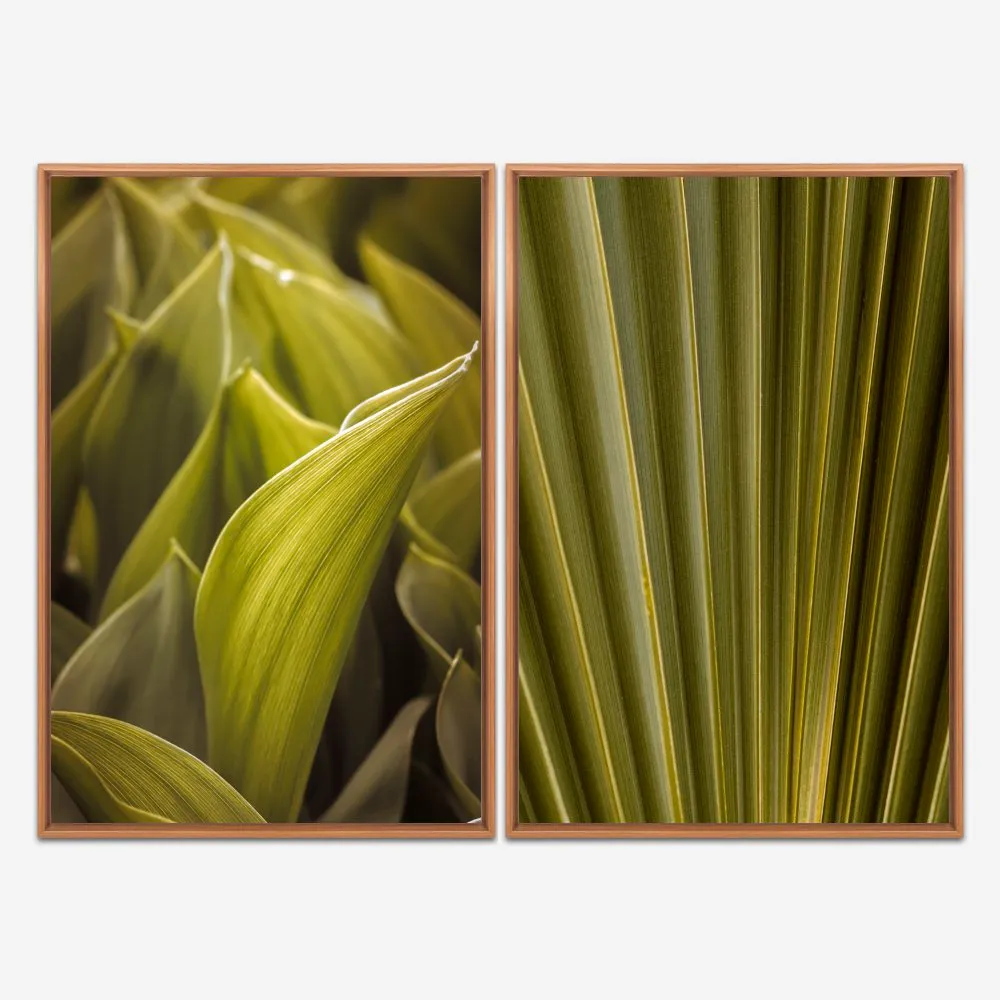 Quadro Natureza Folhas Verdes kit duas telas - Imagem 6