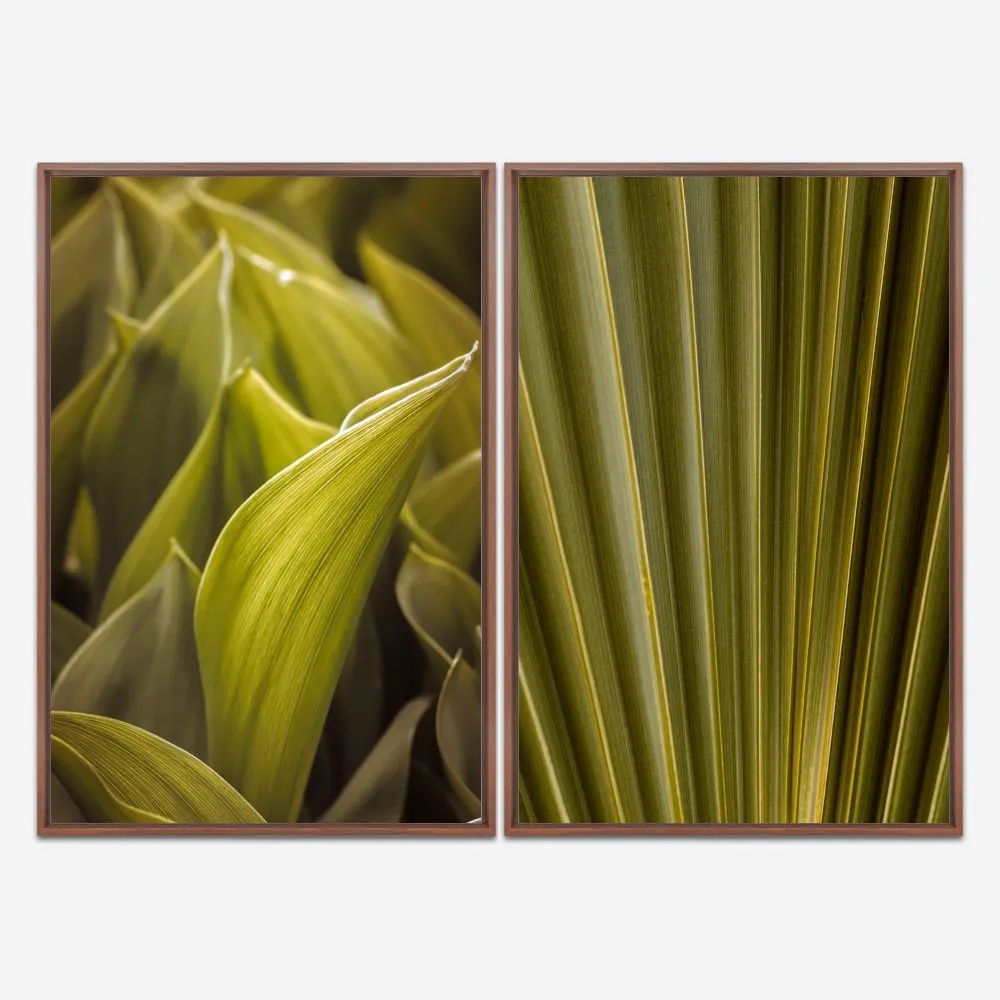Quadro Natureza Folhas Verdes kit duas telas - Imagem 5