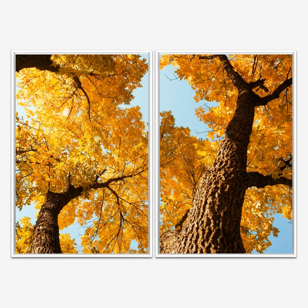 Quadro Árvores de Folhas Amarelas kit duas telas - Imagem 4