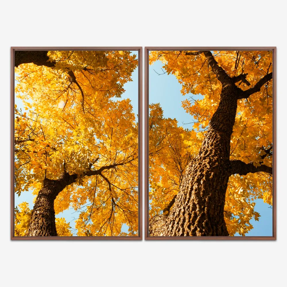 Quadro Árvores de Folhas Amarelas kit duas telas - Imagem 5