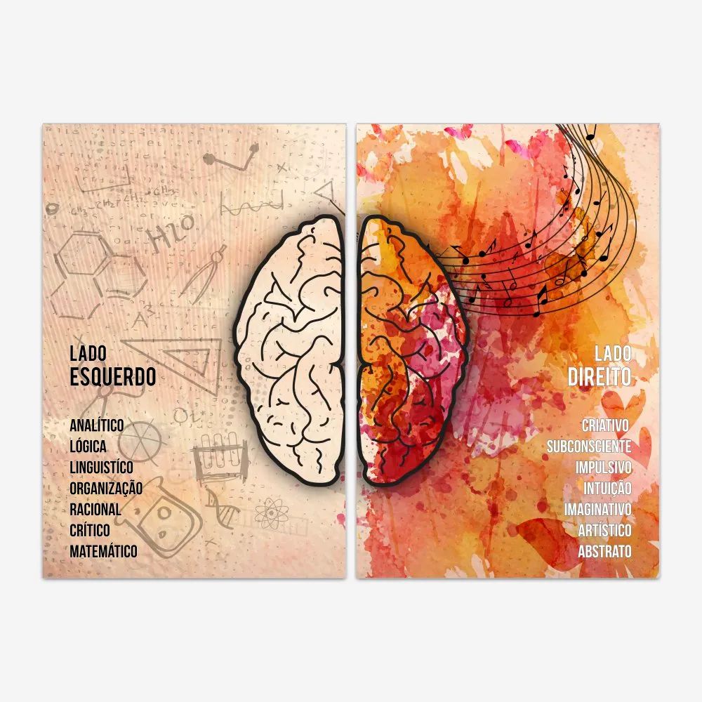 Quadro Psicólogo Dois Lados do Cérebro kit duas telas - Imagem 2