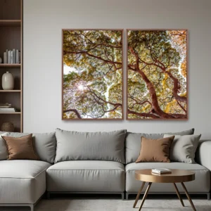 Quadro Árvores Galhos Céu kit duas telas
