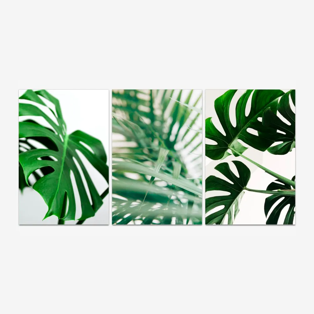 Quadro Folhagem Verde kit três telas - Imagem 2