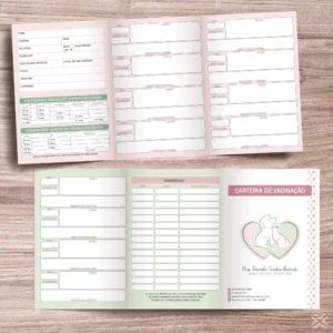 Carteira Vacinação 30x15cm 6 Páginas 30143