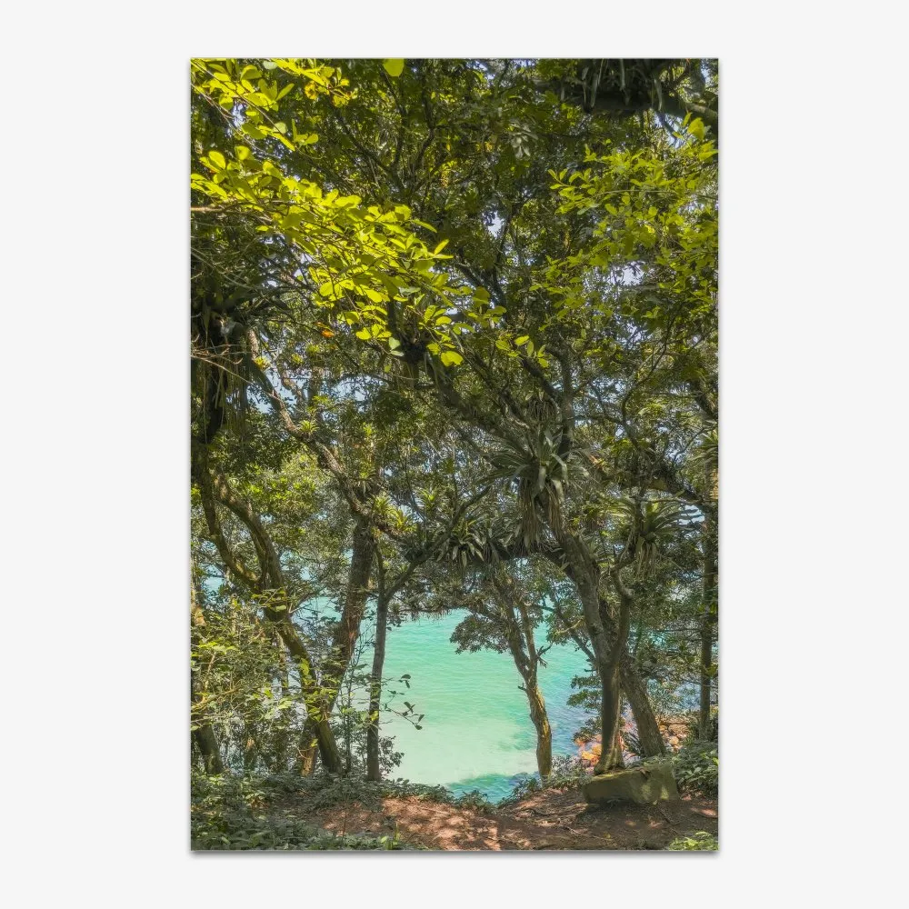 Quadro Biguá Bombinhas por Ale Gazola - Imagem 2