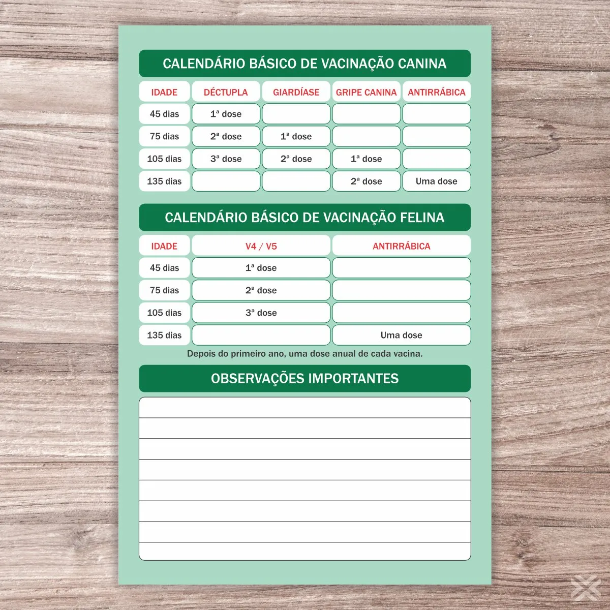 Carteira Vacinação Passaporte 10x15cm 8 Páginas 3016 - Imagem 7